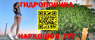 spice Гусев