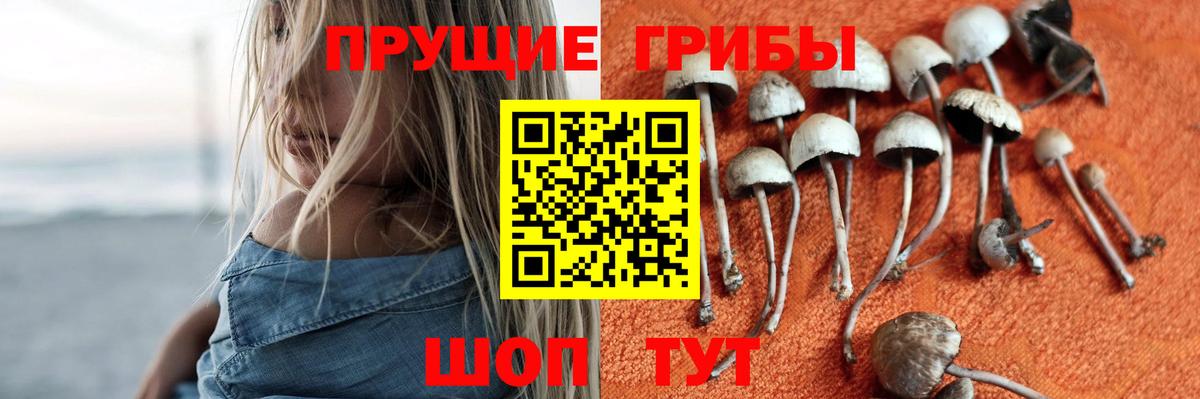 Галлюциногенные грибы мицелий Людиново